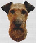 (image for) Irish Terrier